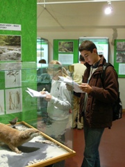 Muzeum vchodnch ech v Hradci Krlov